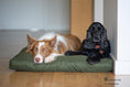 Bild in Galerie-Betrachter laden, Legowisko Ortopedyczne CHARLIE - Oxford
