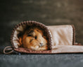 Bild in Galerie-Betrachter laden, Tunnel für Nagetiere aus Oxford
